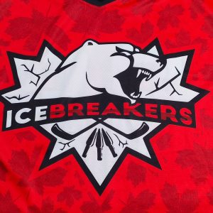 OEM Custom Unisex Adult Polyester Training Ice Hockey Uniform--logo
