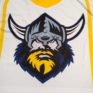 Custom Quality Personalized Ice Hockey Jersey Hockey Team Clothing --front view --logo view