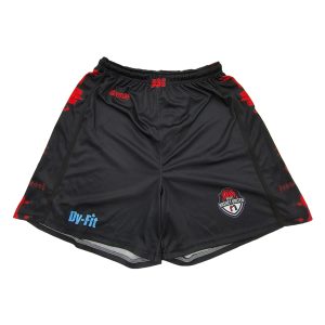 Factory Wholesale Breathable Shorts Dry-fit Soft Shorts-front view