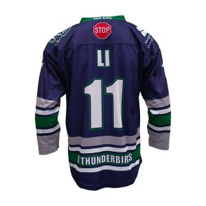  Cheap Sublimation Hockey Jerseys Custom Ice Hockey Clothing--back view 