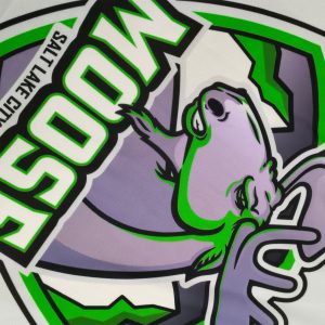 Custom Lace-Up Ice Hockey Jersey White Purple Green Team Hockey Uniform